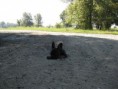 /album/fotogaleria/img-0905-2-jpg/